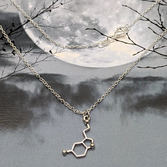 Silver Serotonin Chemical Molecule Necklace - Picture 2 of 6